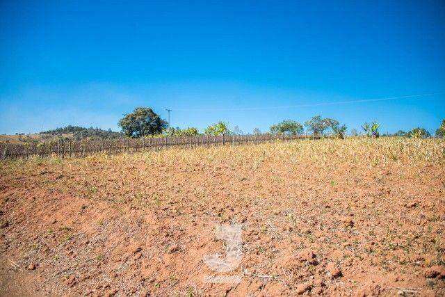 Fazenda à venda com 10 quartos, 200m² - Foto 4