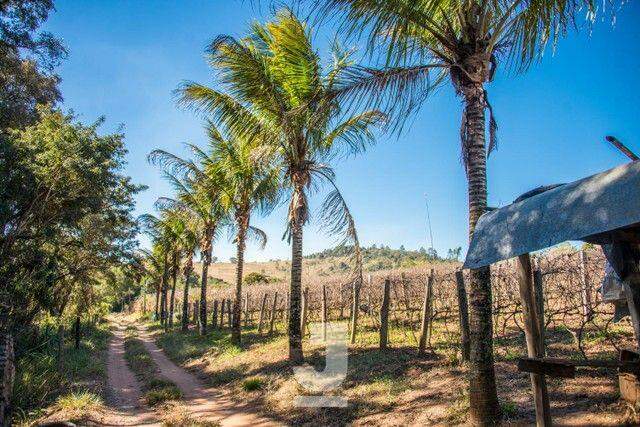 Fazenda à venda com 10 quartos, 200m² - Foto 5