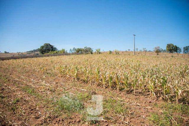 Fazenda à venda com 10 quartos, 200m² - Foto 3