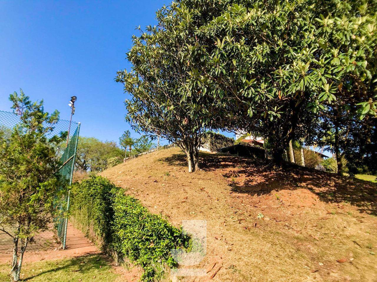 Fazenda à venda com 4 quartos, 350m² - Foto 40