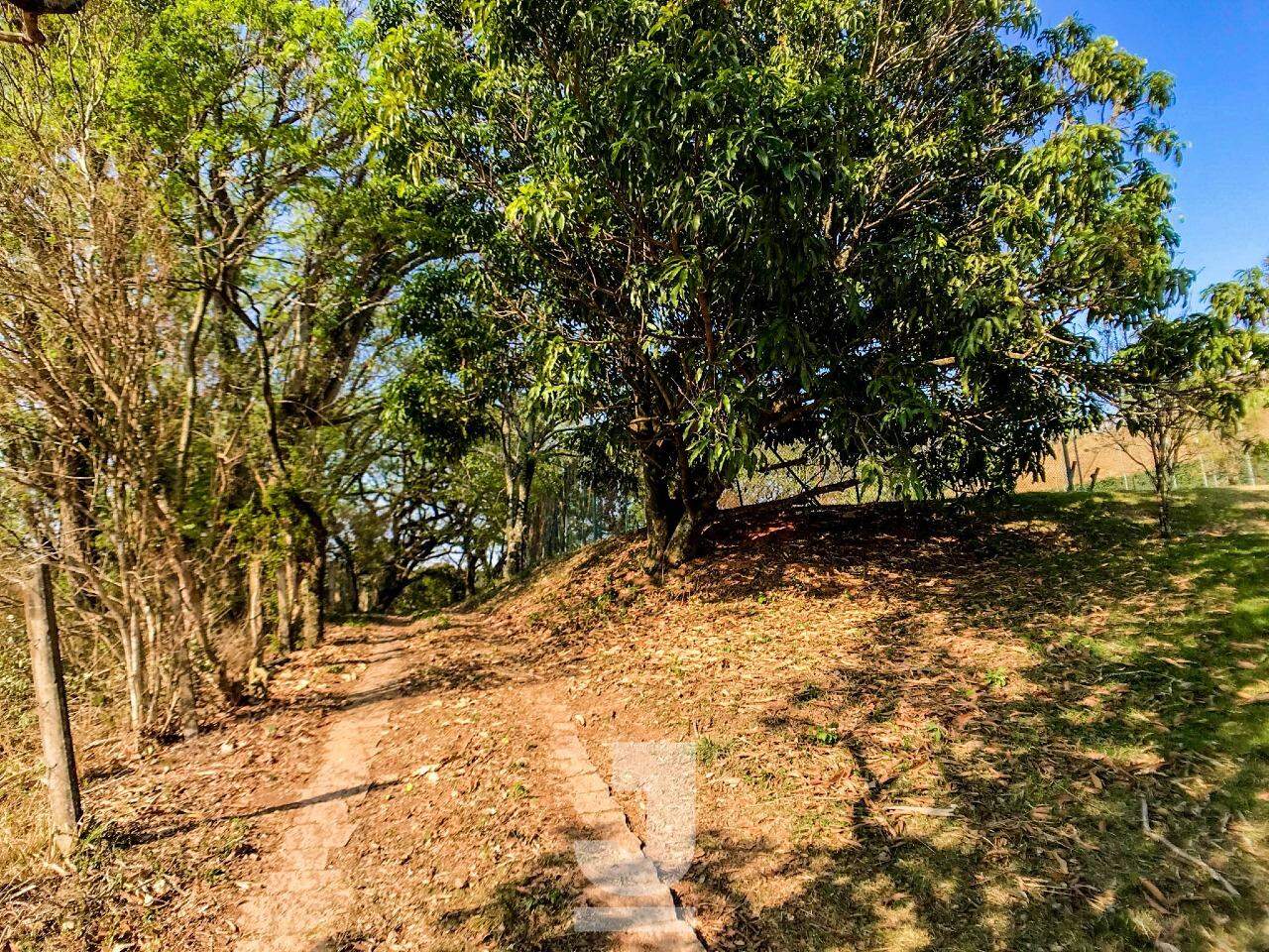 Fazenda à venda com 4 quartos, 350m² - Foto 38