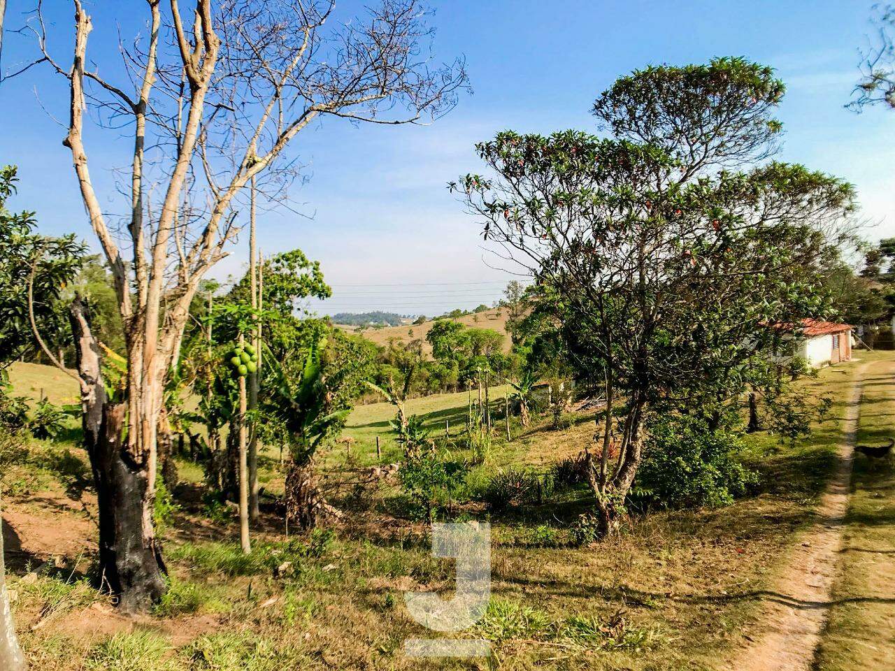 Fazenda à venda com 4 quartos, 350m² - Foto 37