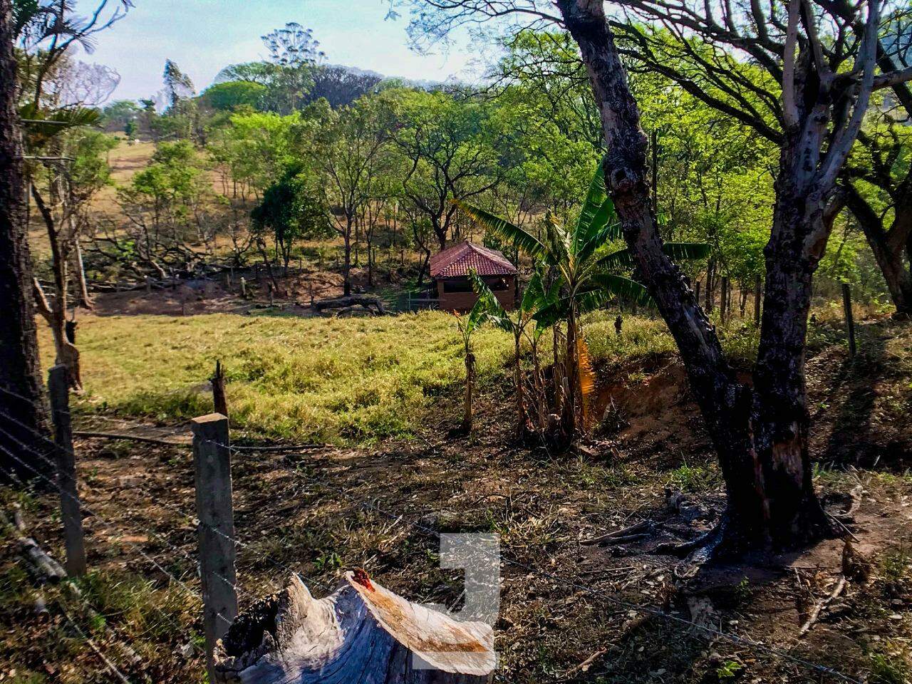 Fazenda à venda com 4 quartos, 350m² - Foto 35