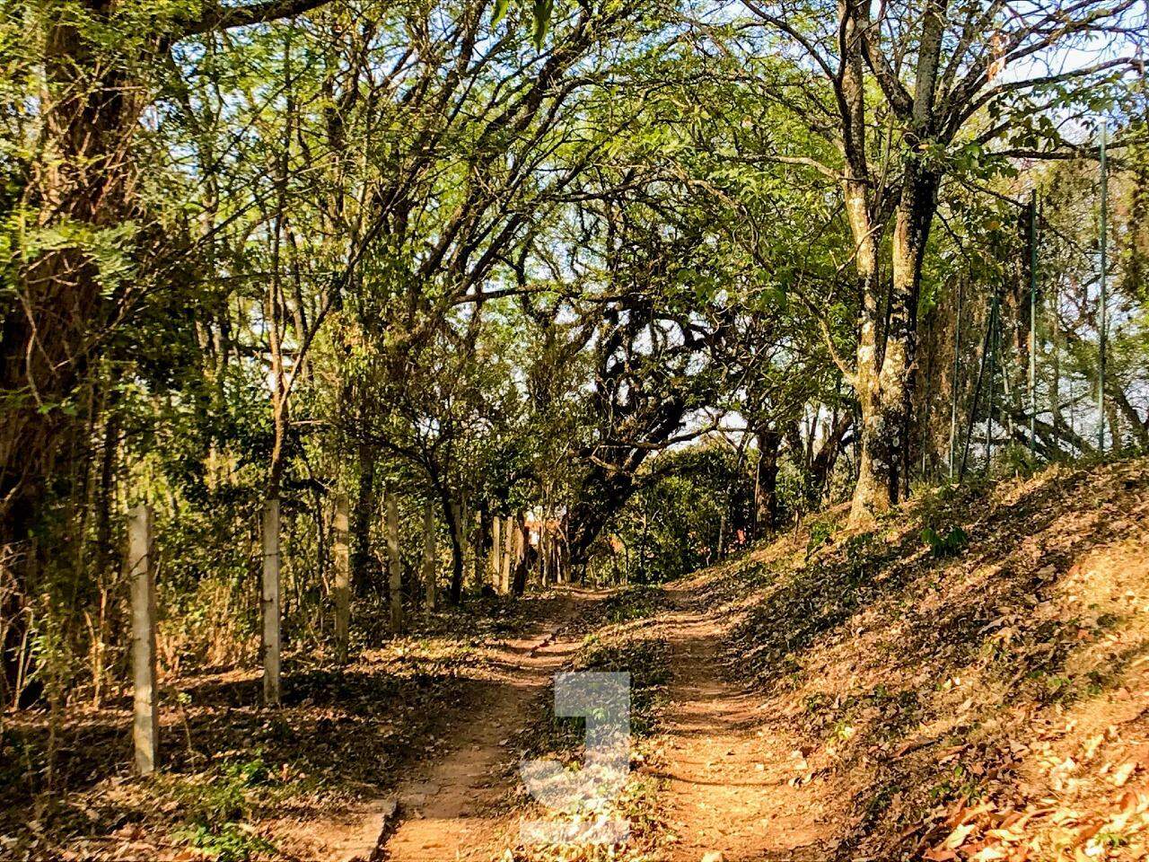 Fazenda à venda com 4 quartos, 350m² - Foto 31