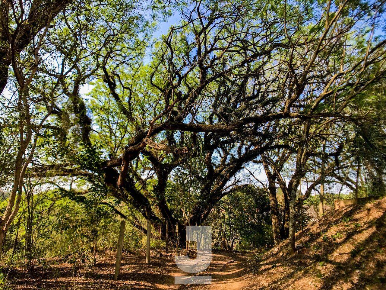 Fazenda à venda com 4 quartos, 350m² - Foto 30