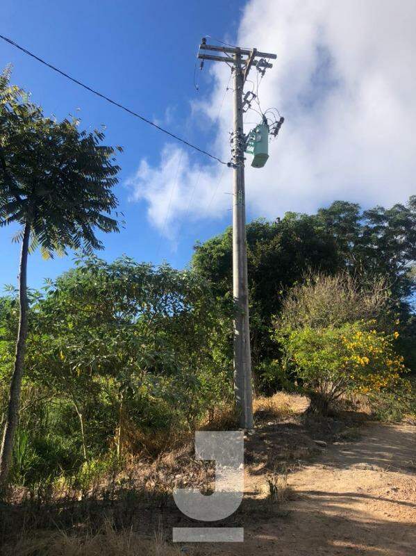 Fazenda à venda com 3 quartos, 170m² - Foto 21