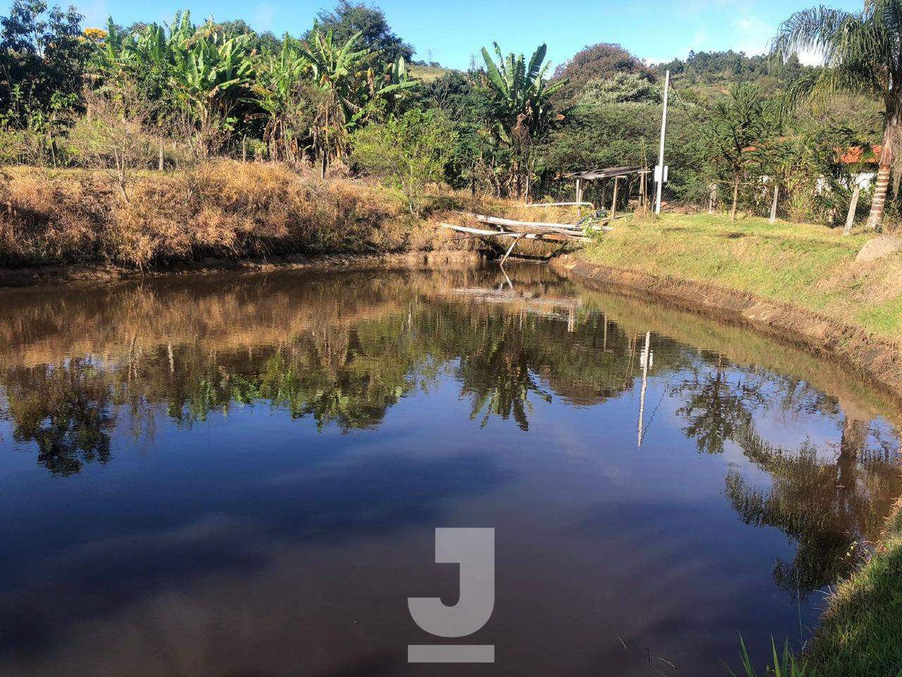 Fazenda à venda com 3 quartos, 170m² - Foto 20