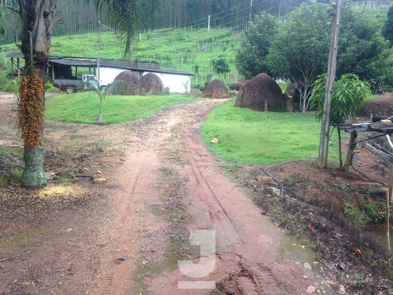 Fazenda à venda com 3 quartos, 170m² - Foto 13