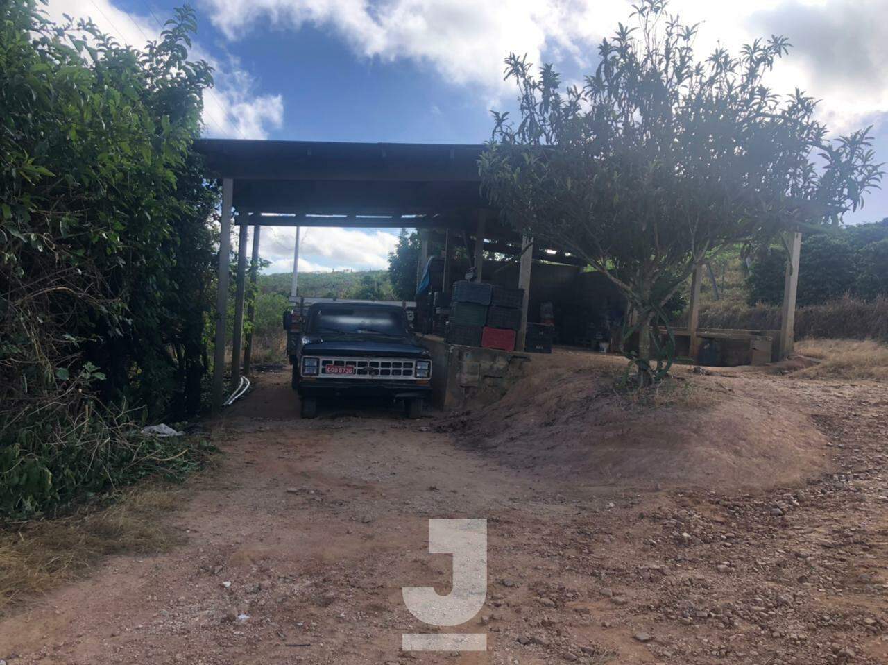 Fazenda à venda com 3 quartos, 170m² - Foto 12