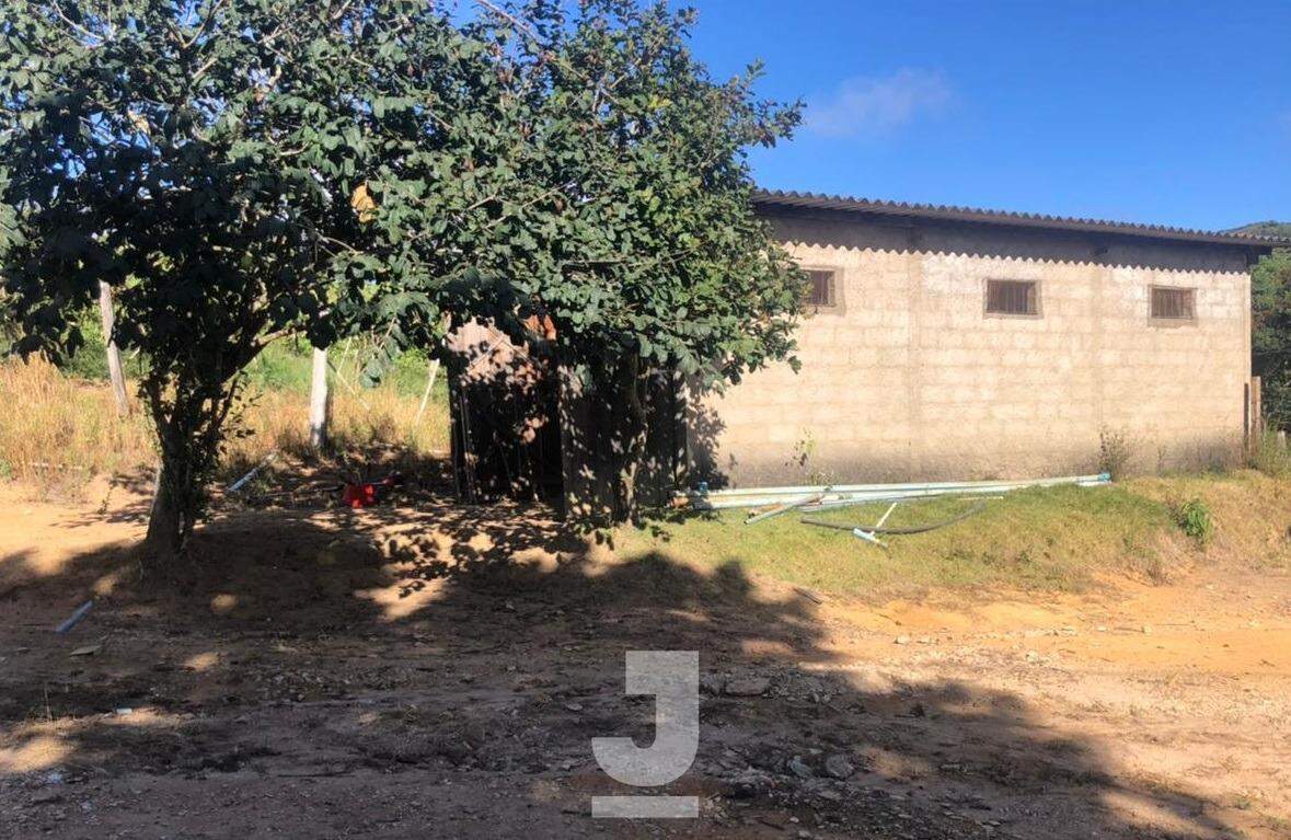 Fazenda à venda com 3 quartos, 170m² - Foto 6