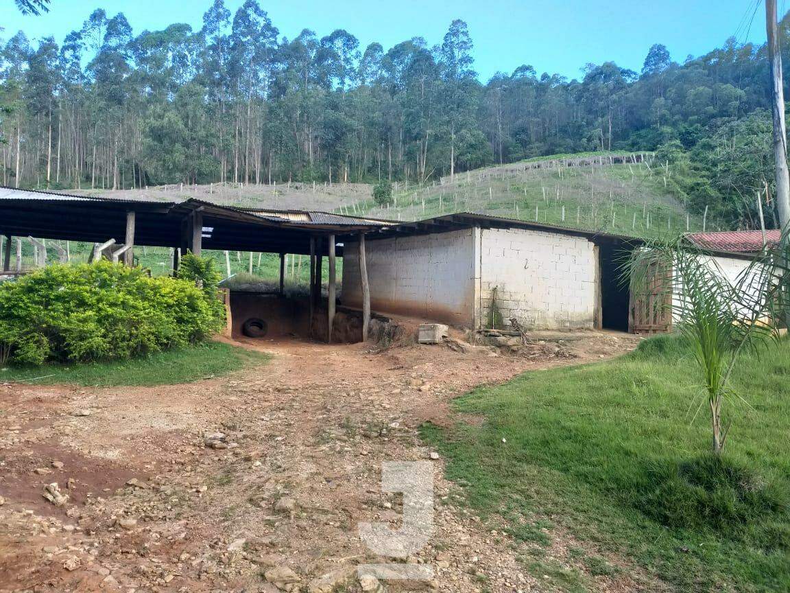 Fazenda à venda com 3 quartos, 279m² - Foto 28