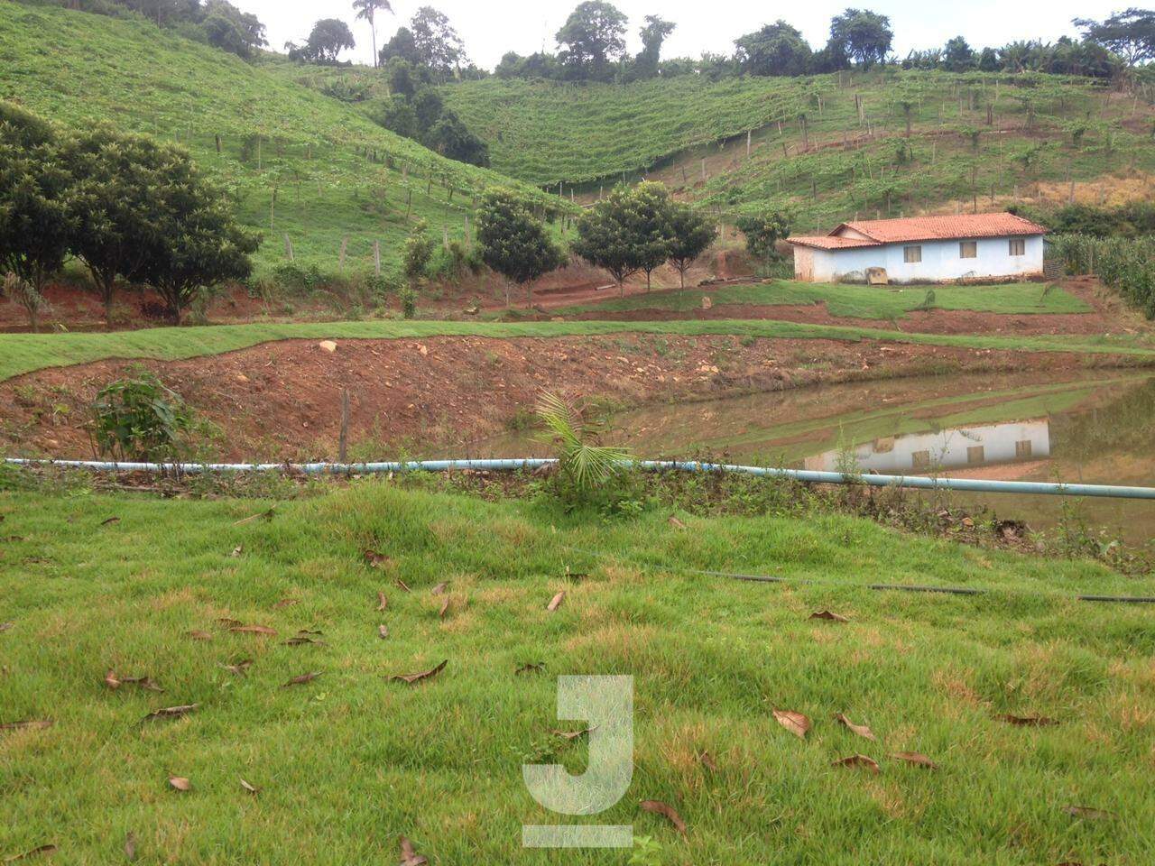 Fazenda à venda com 3 quartos, 279m² - Foto 21