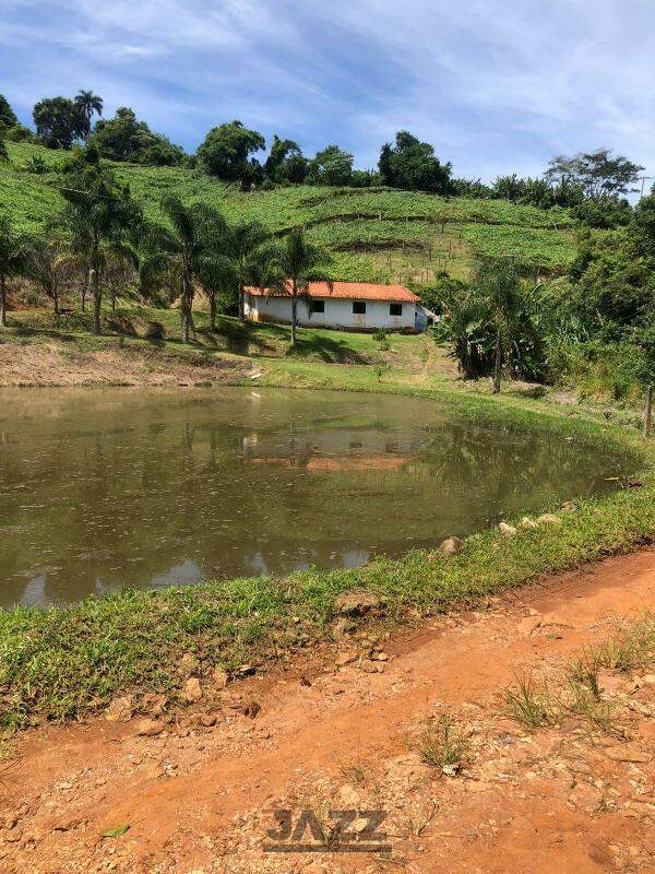 Fazenda à venda com 3 quartos, 279m² - Foto 2