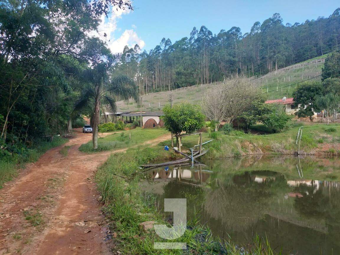 Fazenda à venda com 3 quartos, 279m² - Foto 26