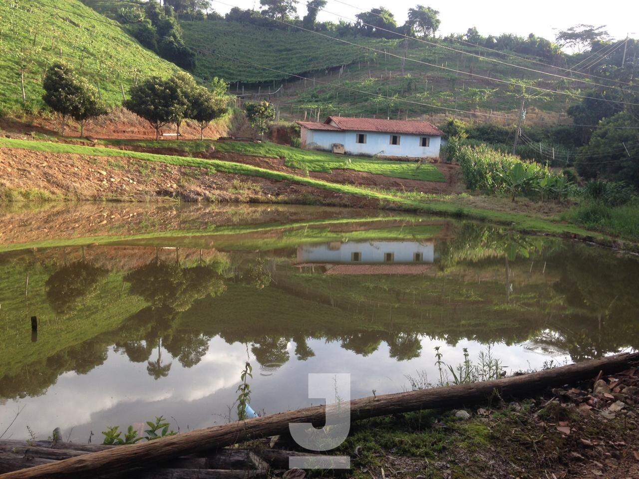 Fazenda à venda com 3 quartos, 279m² - Foto 12