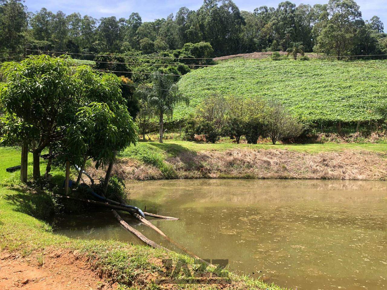 Fazenda à venda com 3 quartos, 279m² - Foto 6