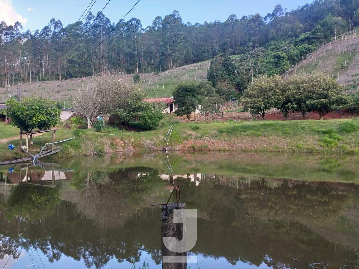 Fazenda à venda com 3 quartos, 279m² - Foto 15