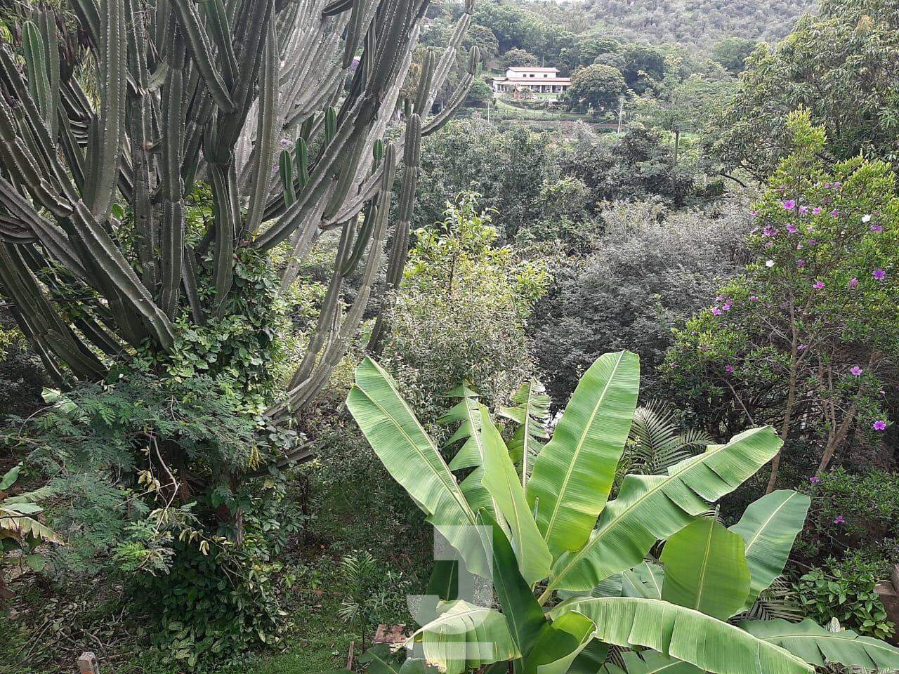 Fazenda à venda com 4 quartos, 270m² - Foto 19