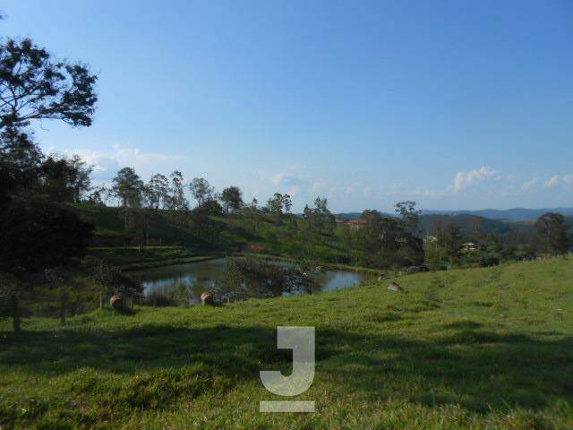 Fazenda à venda com 4 quartos, 350m² - Foto 41