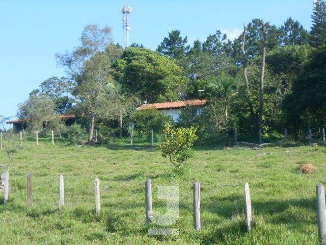 Fazenda à venda com 4 quartos, 350m² - Foto 33