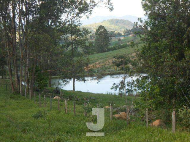 Fazenda à venda com 4 quartos, 350m² - Foto 32