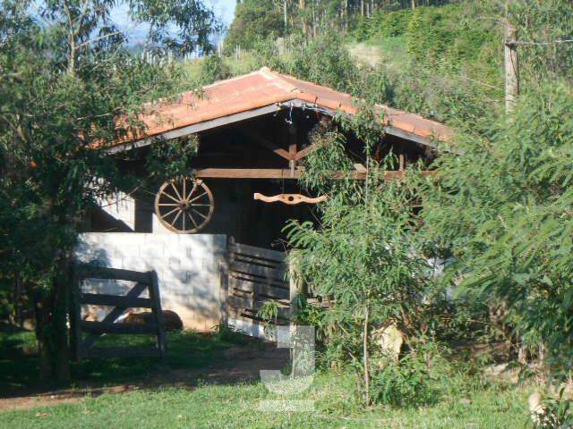 Fazenda à venda com 4 quartos, 350m² - Foto 38