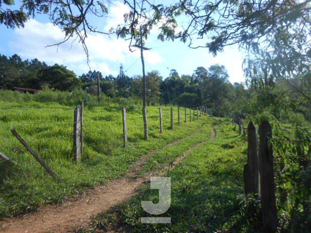 Fazenda à venda com 4 quartos, 350m² - Foto 37