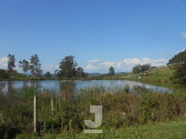 Fazenda à venda com 4 quartos, 350m² - Foto 35