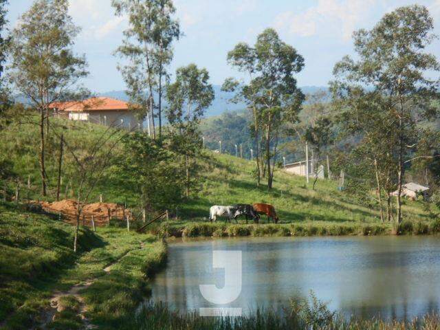 Fazenda à venda com 4 quartos, 350m² - Foto 34