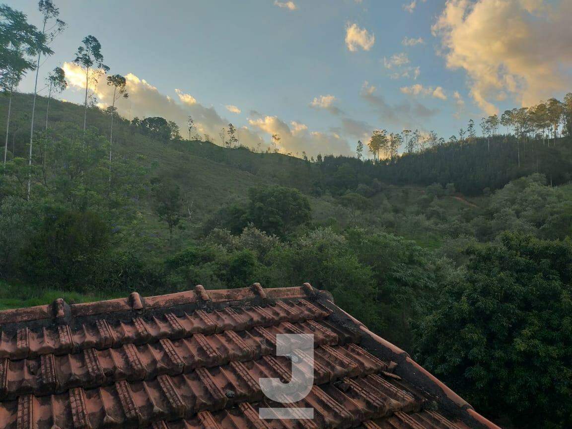 Fazenda à venda com 5 quartos, 500m² - Foto 10