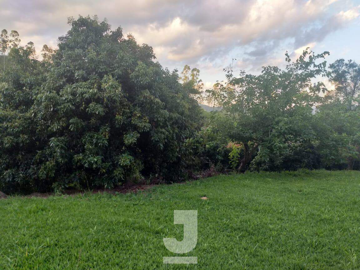 Fazenda à venda com 5 quartos, 500m² - Foto 2