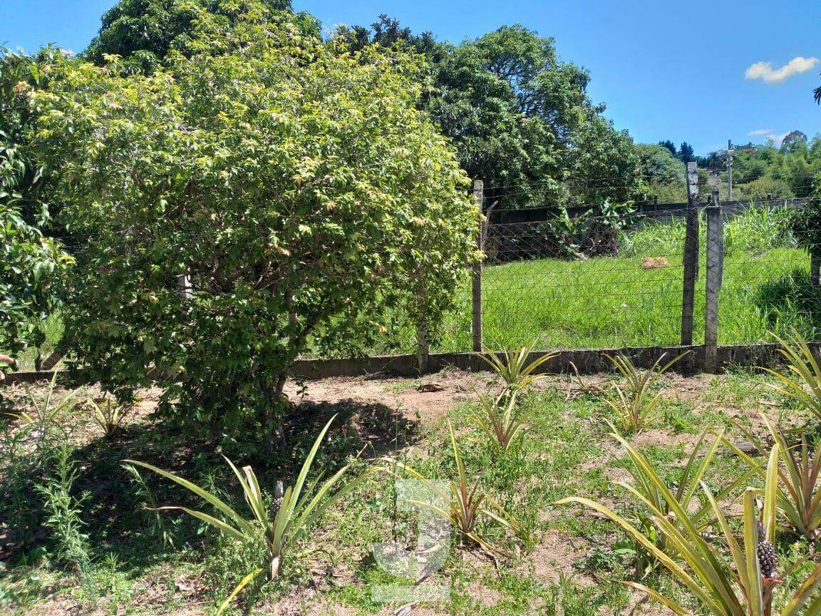 Fazenda à venda com 3 quartos, 220m² - Foto 27