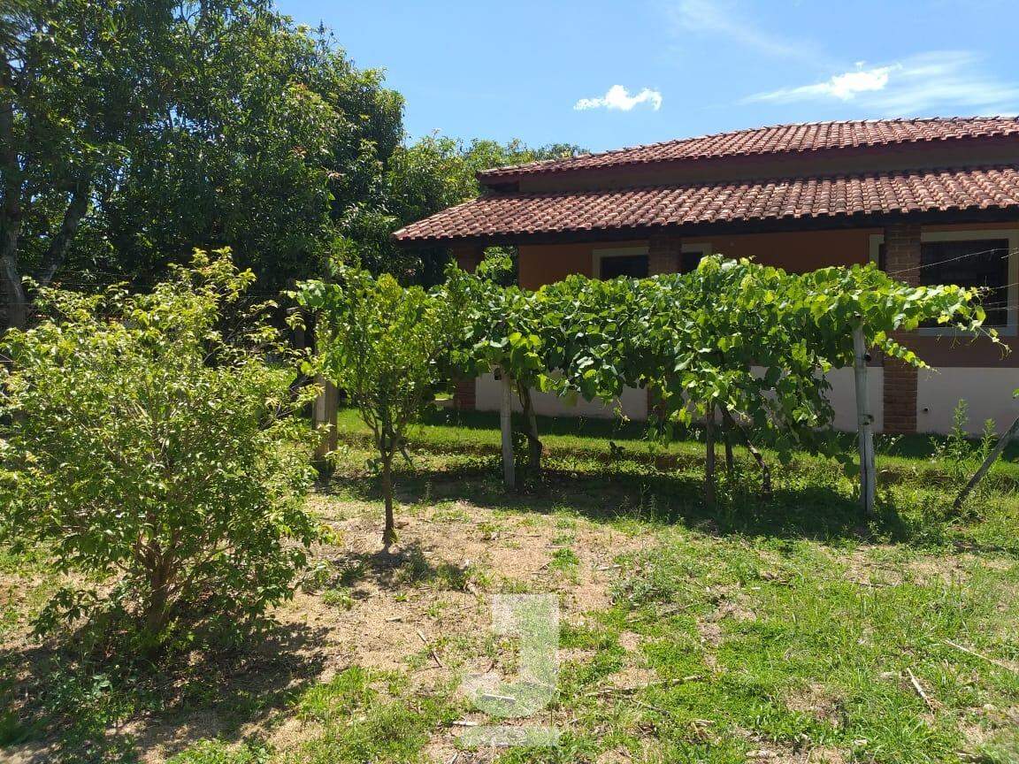 Fazenda à venda com 3 quartos, 220m² - Foto 25