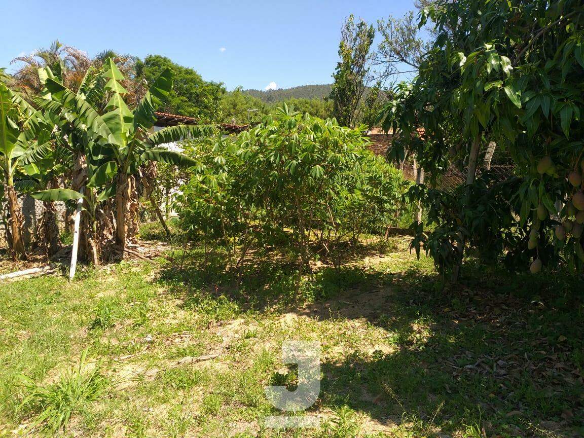 Fazenda à venda com 3 quartos, 220m² - Foto 23