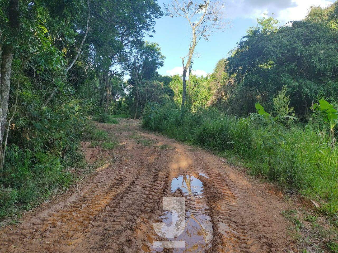 Terreno à venda, 5000m² - Foto 11