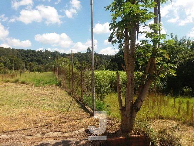 Fazenda à venda com 4 quartos, 260m² - Foto 12