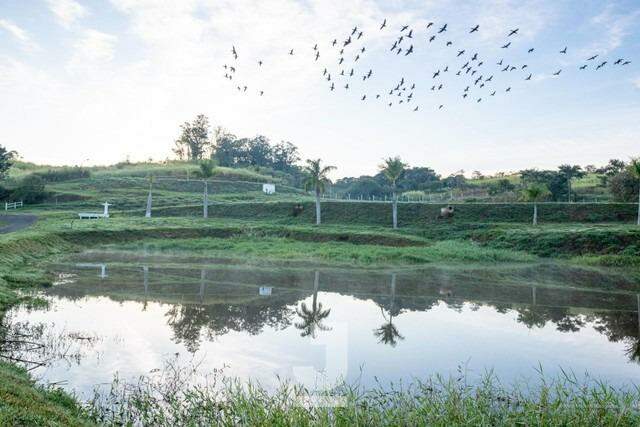 Casa de Condomínio à venda com 6 quartos, 2043m² - Foto 17