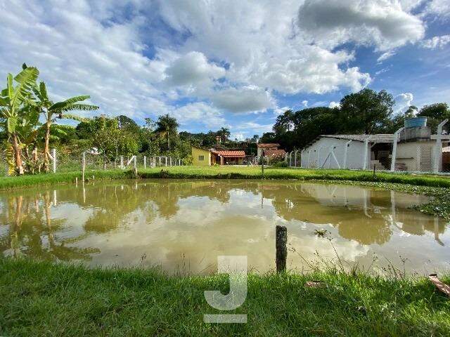 Fazenda à venda com 6 quartos, 350m² - Foto 4