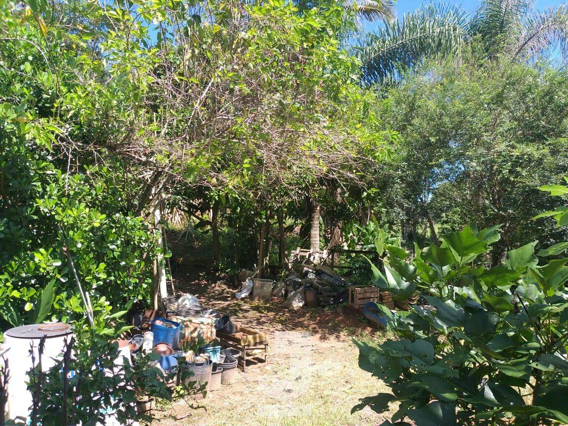 Fazenda à venda com 1 quarto, 260m² - Foto 22