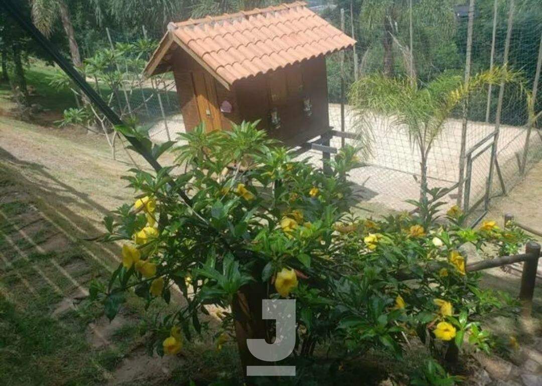 Fazenda à venda com 4 quartos, 220m² - Foto 17