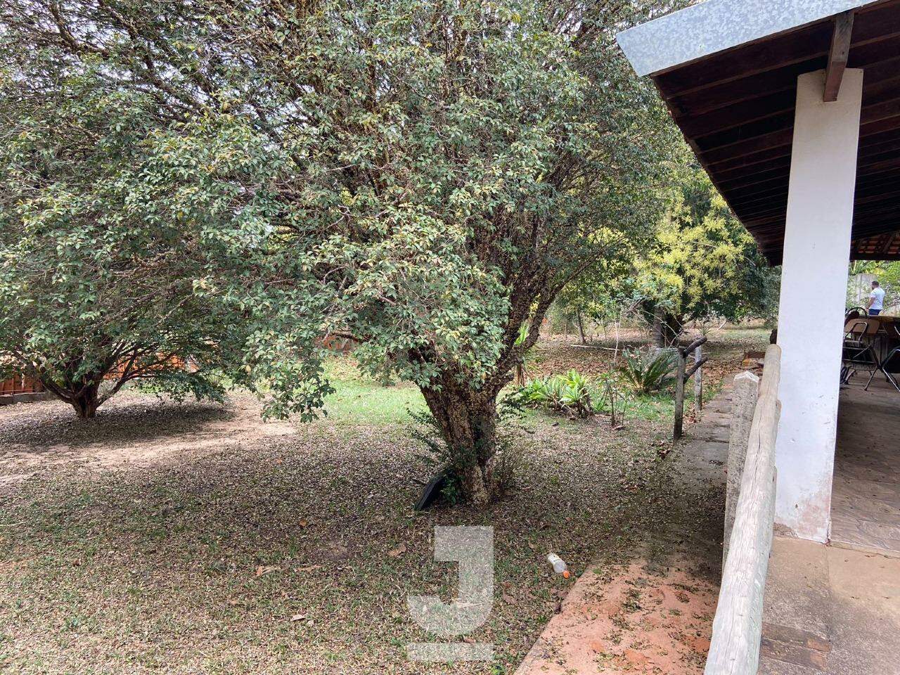 Fazenda à venda com 2 quartos, 80m² - Foto 22