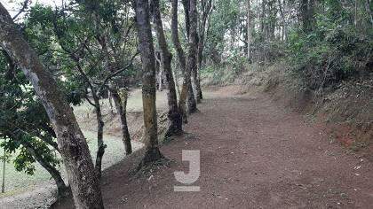 Fazenda à venda com 4 quartos, 200m² - Foto 15