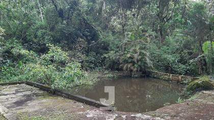 Fazenda à venda com 4 quartos, 200m² - Foto 14