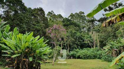 Fazenda à venda com 4 quartos, 200m² - Foto 17