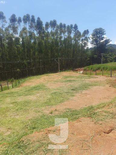 Terreno à venda, 1000m² - Foto 6