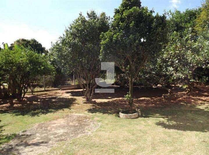 Fazenda à venda com 3 quartos, 300m² - Foto 7