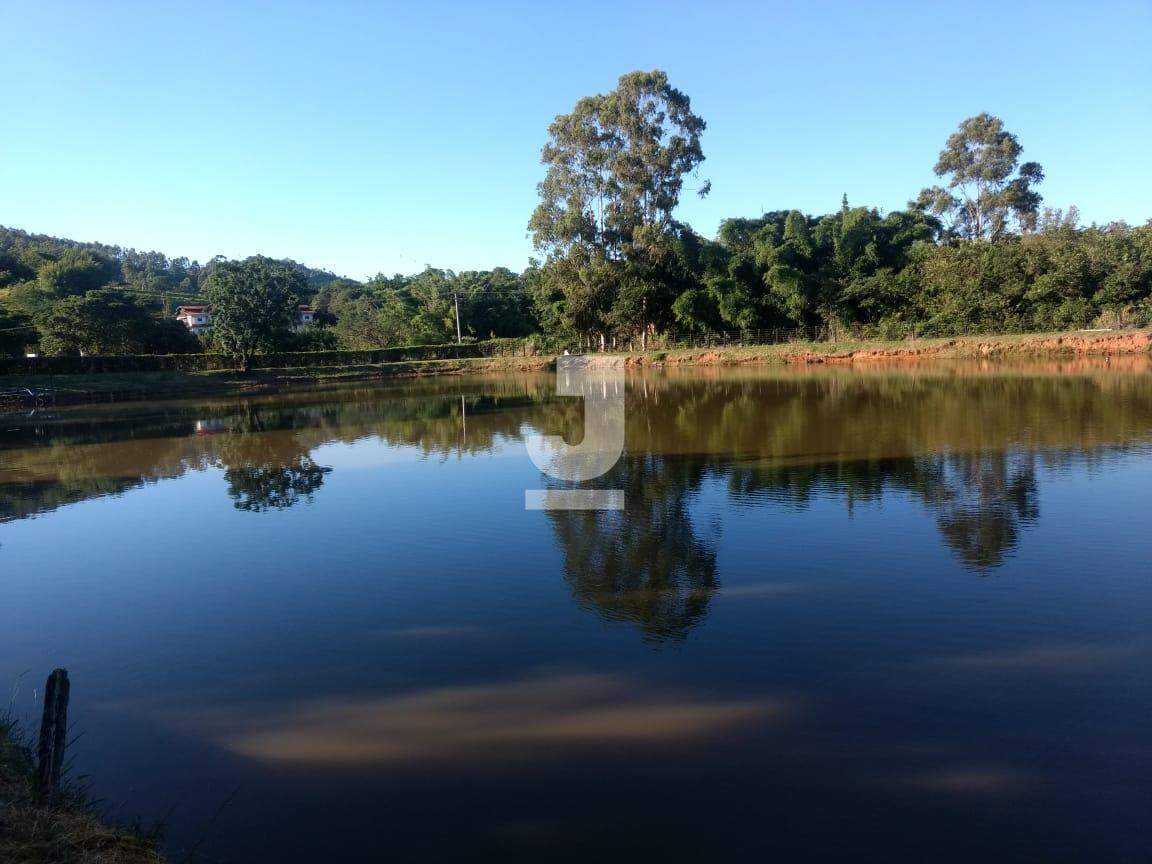 Fazenda à venda com 2 quartos, 180m² - Foto 10