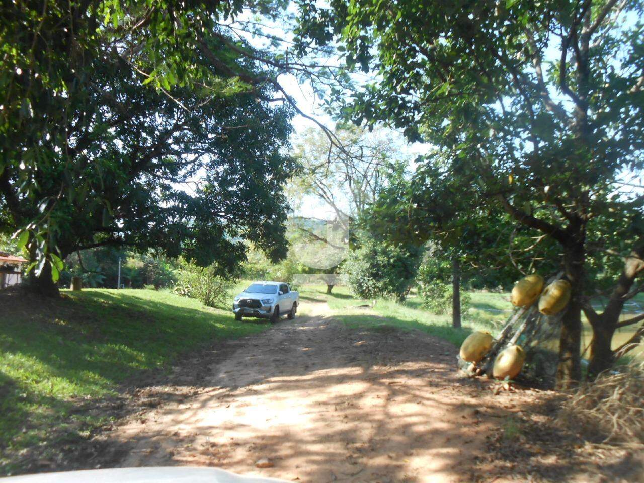 Fazenda à venda com 2 quartos, 180m² - Foto 5