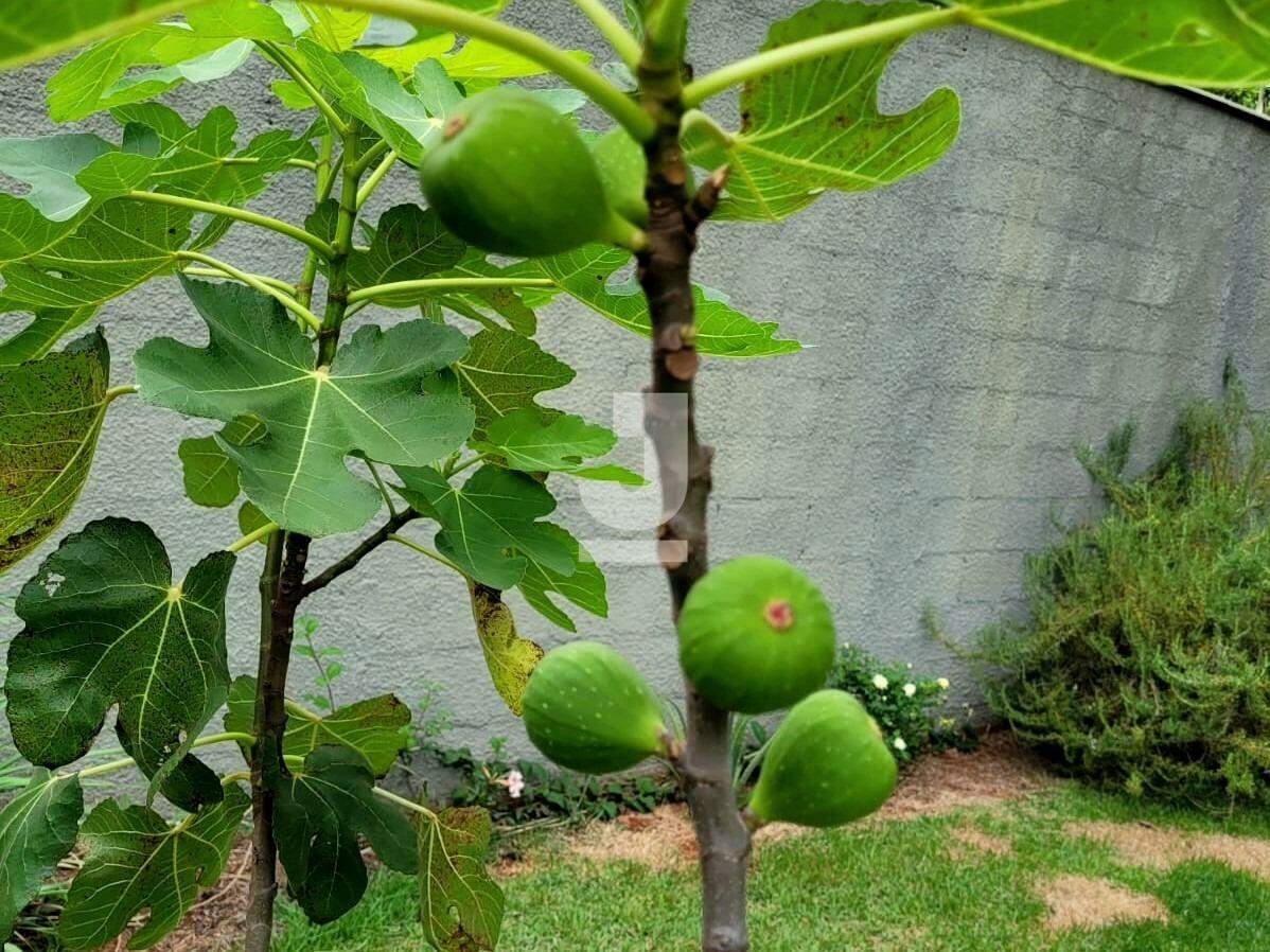 Fazenda à venda com 3 quartos, 310m² - Foto 9