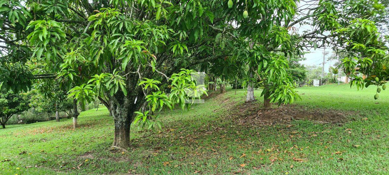 Fazenda à venda com 3 quartos, 300m² - Foto 24